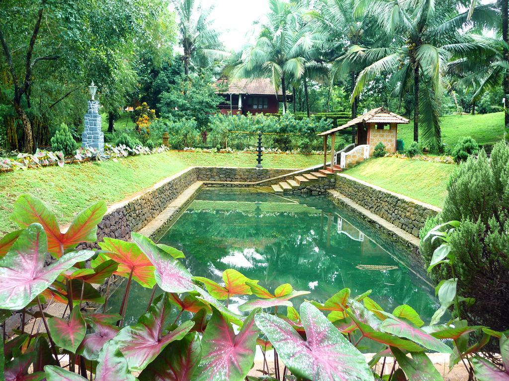 Hotel Soma Birds Lagoon Kotamangalam Zewnętrze zdjęcie