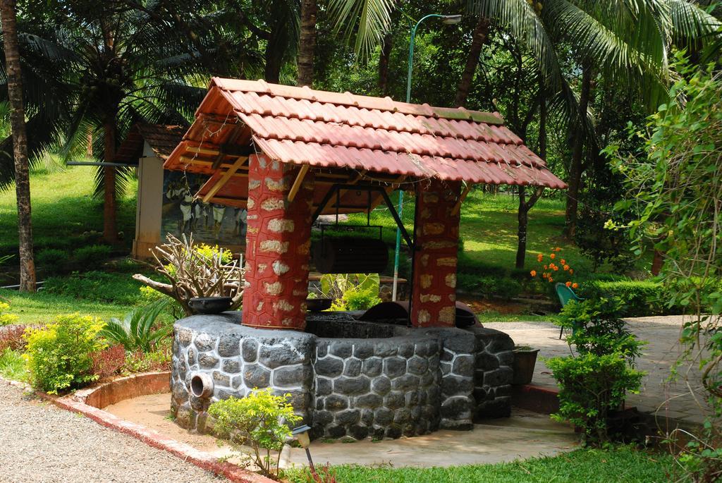 Hotel Soma Birds Lagoon Kotamangalam Zewnętrze zdjęcie
