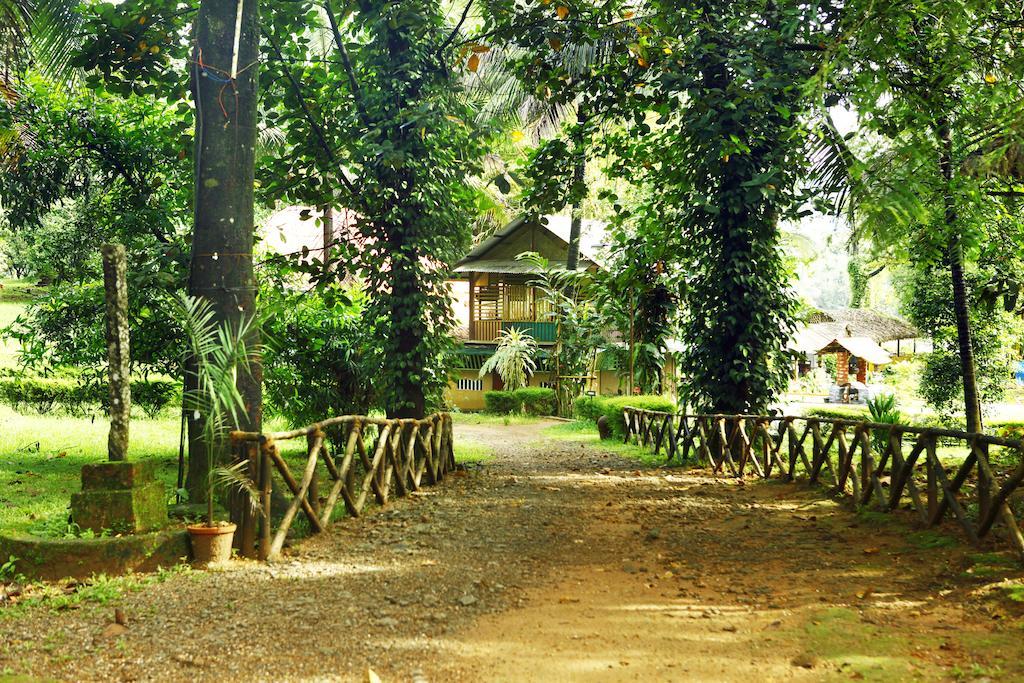 Hotel Soma Birds Lagoon Kotamangalam Zewnętrze zdjęcie